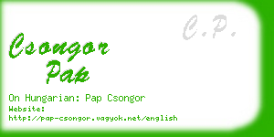 csongor pap business card